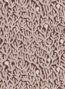 Josephine Munsey Tapete Coral - Spicer Brown