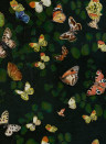 Coordonne Papier peint Magic butterflies - Night