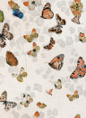 Coordonne Carta da parati Magic butterflies - Linen
