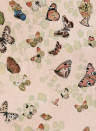 Coordonne Carta da parati Magic butterflies - Sweet