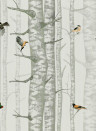 Coordonne Wallpaper Birch Trees Silvester