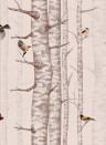 Coordonne Wallpaper Birch Trees Pink