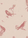 Coordonne Papier peint Sweet Birds - Rose