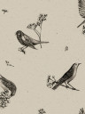 Coordonne Papier peint Sweet Birds - Black