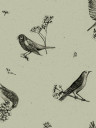 Coordonne Papier peint Sweet Birds - Matcha