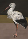 Coordonne Papier peint panoramique Stork Mother - Black