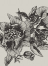 Coordonne Mural Giant Peonies Ink