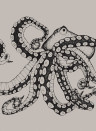 Coordonne Mural Octopus X-Ray Ink