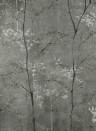 Coordonné Papier peint panoramique Woods - Extra Silver