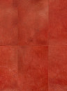 Arte International Tapete Rectangle - Coral