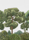 Coordonne Papier peint panoramique Green Forest - Natural