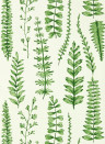 Scion Wallpaper Ferns - Juniper