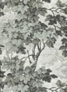 Zoffany Carta da parati Richmond Park - Charcoal