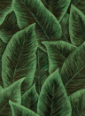 Arte International Papier peint Bird Of Paradise - Emerald