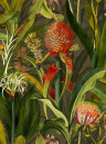 Arte Tapete Blooming Pineapple - Cardinal