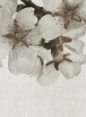 Coordonne Papier peint panoramique Big Random Flora - Beige