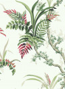Coordonne Tapete Wild Ferns - Coral