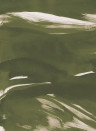 Coordonne Mural Marine Xray - Silvester