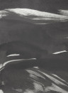 Coordonne Wandbild Marine Xray Metallics - Onyx