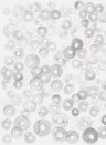 Coordonne Mural Cellular Patterns - Ice