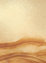 Coordonne Mural Atmospheric Haze Metallics - Gold