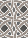 Coordonne Wallpaper Roots - Carbon