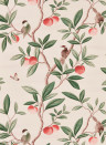 Harlequin Papier peint Ella - Powder/ Sage/ Peach
