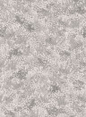 Cole & Son Tapete Petite Fleur - Platinum Pearl