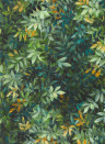 Clarke & Clarke Wallpaper Congo - Forest