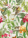 Coordonne Wallpaper Parrots - Perla