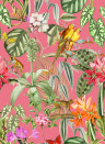 Coordonne Wallpaper Parrots - Rosa
