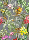 Coordonne Wallpaper Parrots - Tormenta