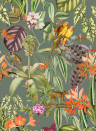 Coordonne Wallpaper Parrots - Musgo