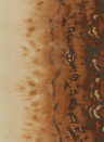 Clarke & Clarke Wallpaper Disperse - Bronze