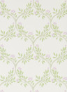 Nina Campbell Papier peint Arber - Sage/ Lilac