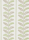 Nina Campbell Wallpaper Plumier - Green/ Chocolate