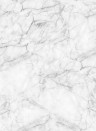 Rebel Walls Papier peint panoramique Marble Art - White