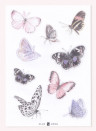 Sian Zeng Sticker mural Butterfly  - Blush