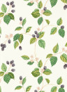 Sanderson Tapete Rubus - Blackberry
