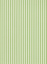 Sanderson Papier peint Pinetum Stripe - Sap Green