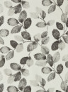 Clarke & Clarke Wallpaper Northia - Charcoal