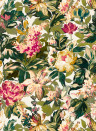 Clarke & Clarke Wallpaper Lilum - Olive/ Raspberry