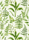 Clarke & Clarke Wallpaper Bracken - Forest