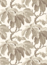 BoråsTapeter Wallpaper Kastanj - 4840