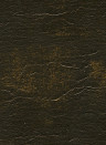 Elitis Wallpaper Hope Metal - VP 870 07