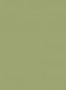 Paint & Paper Library Architects Eggshell - 2,5l - Chelsea Green II 549