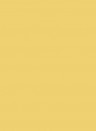 Little Greene Absolute Matt Emulsion - 2,5l - Indian Yellow 335