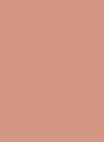 Paint & Paper Library Architects All Surface Primer - 2,5l - Jaipur Pink 416