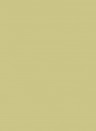 Little Greene Masonry Paint - 5l - Apple 137