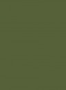 Little Greene Masonry Paint - Jewel Beetle 303 - 5l